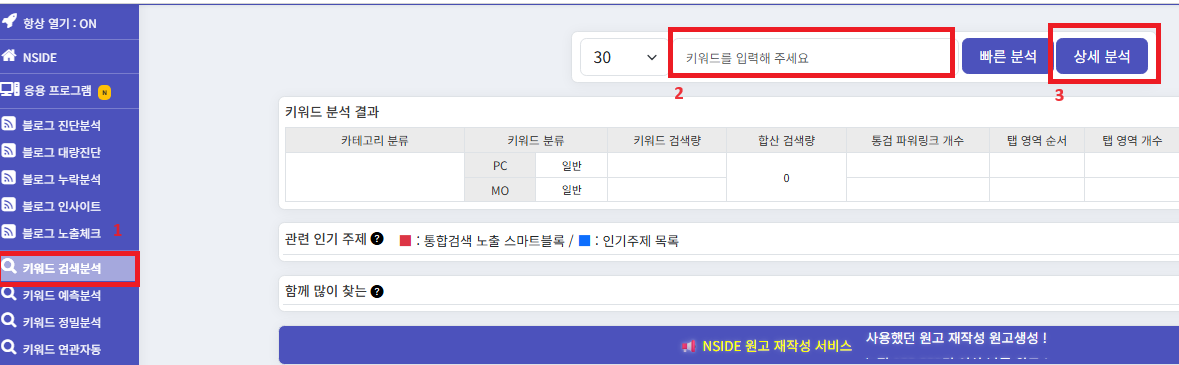 엔사이드 키워드 검색분석 입력 예시