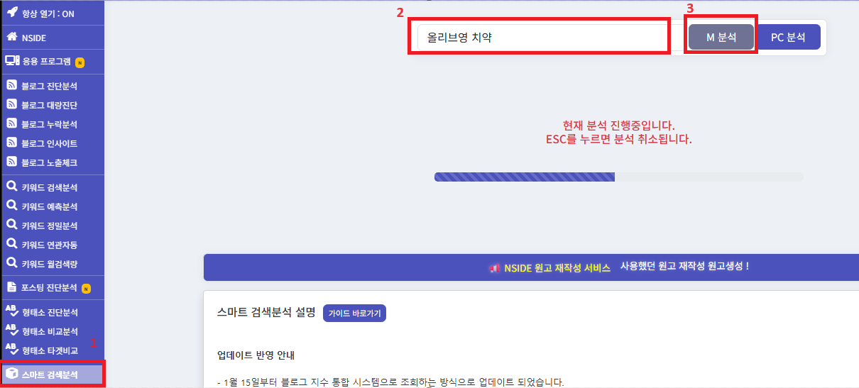 엔사이드 스마트검색분석 입력 예시